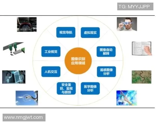 基于图像识别与特征提取的智能系统在足球球星身份辨别中的应用研究